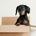 What Should a Reasonable Relocation Bonus Include?